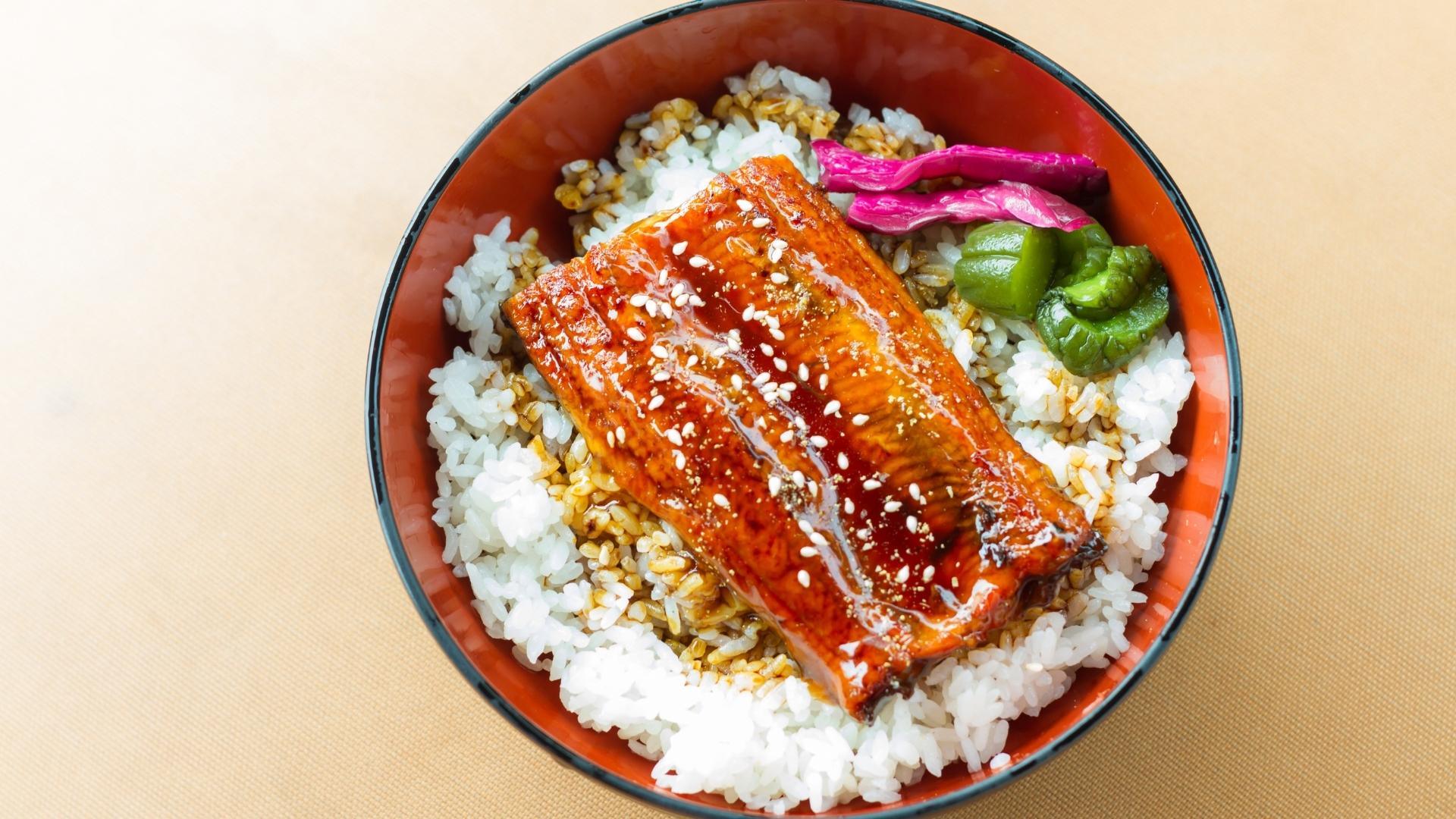Unagi Rezept – Authentische japanische Aal-Spezialität | Village Foods