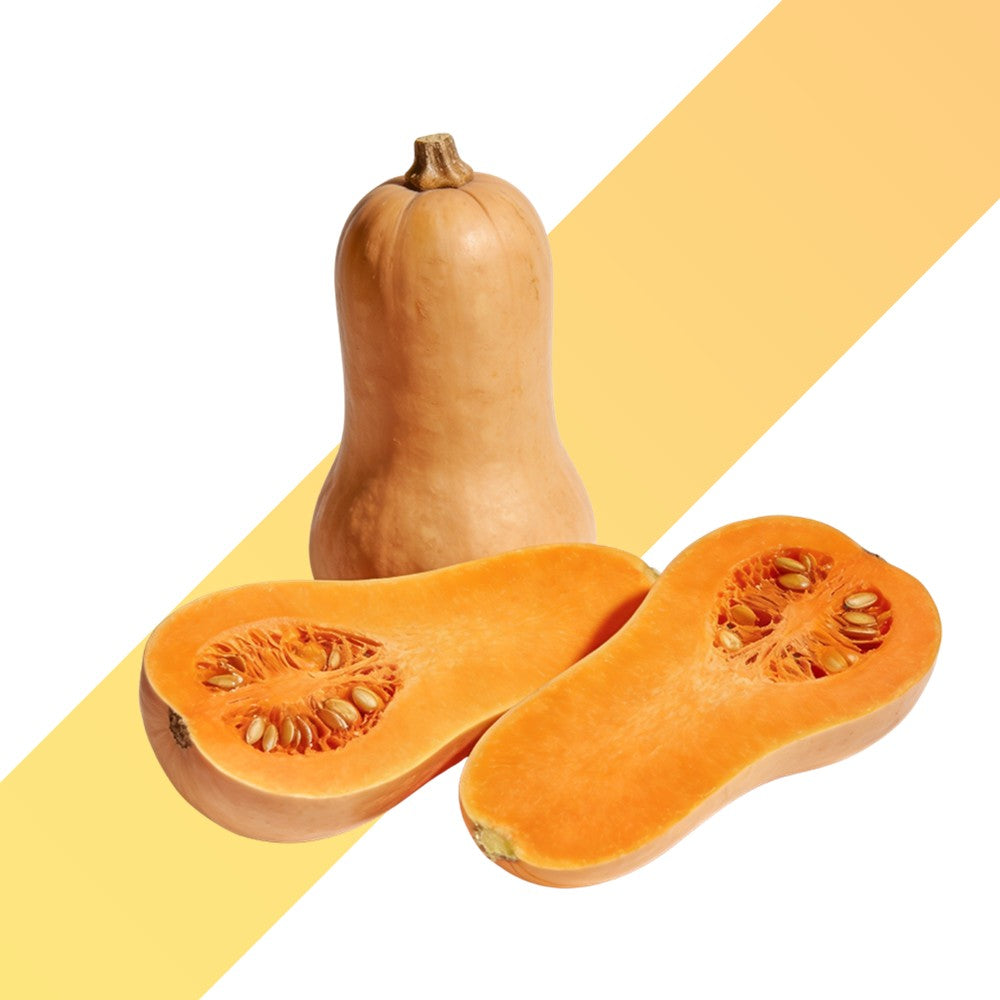 Frischer Butternut-Kürbis (Pro Stück / ca. 1,1 kg)