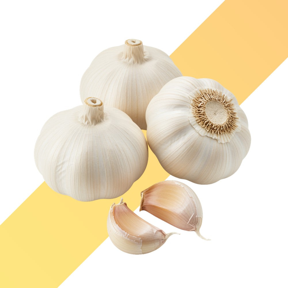 Frischer Knoblauch (Garlic) - Pack / ca. 500 g