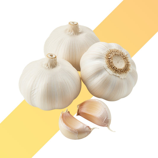 Frischer Knoblauch (Garlic) - Pack / ca. 500 g